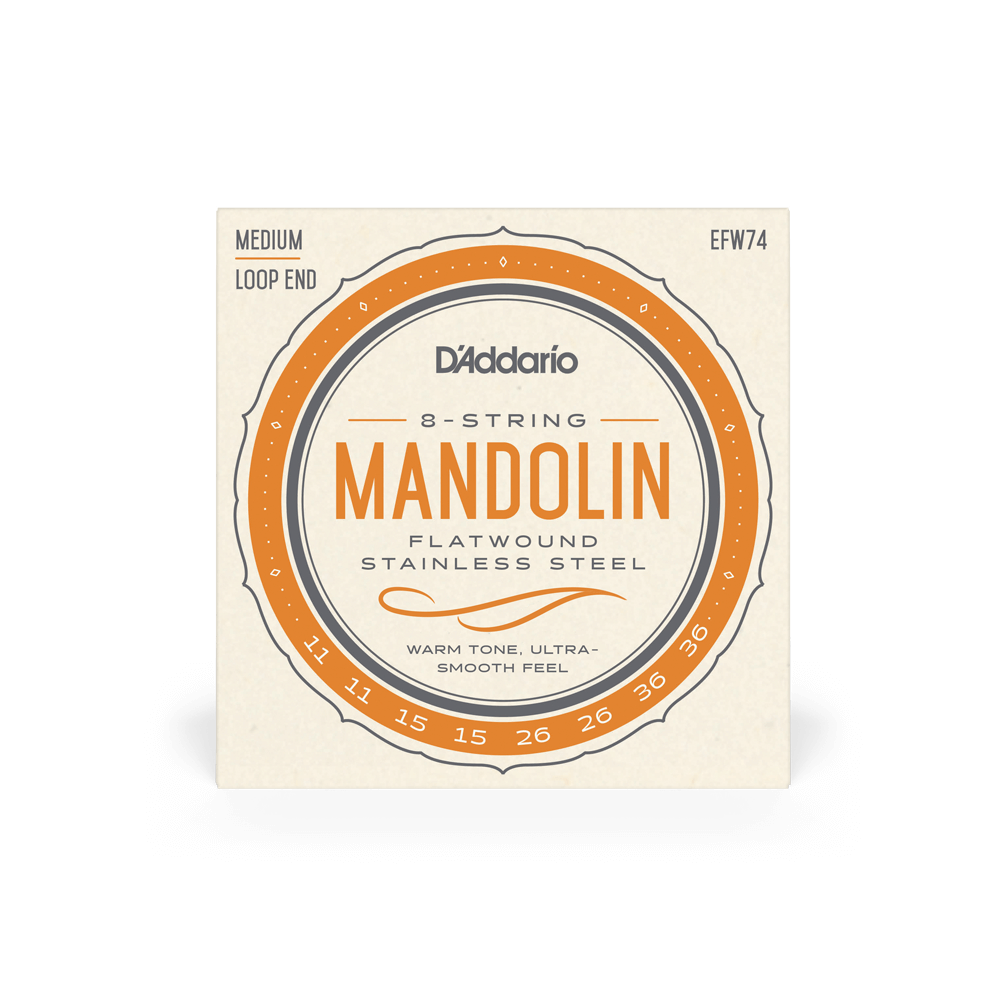 D'Addario EFW 74